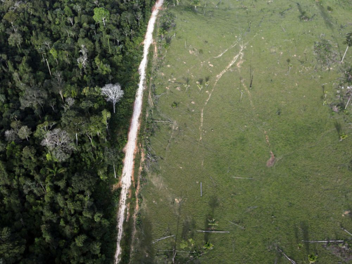 Amazonie: La déforestation a augmenté l