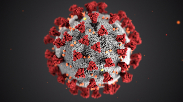 Virusun yeni ştammı daha bir ölkədə aşkarlandı