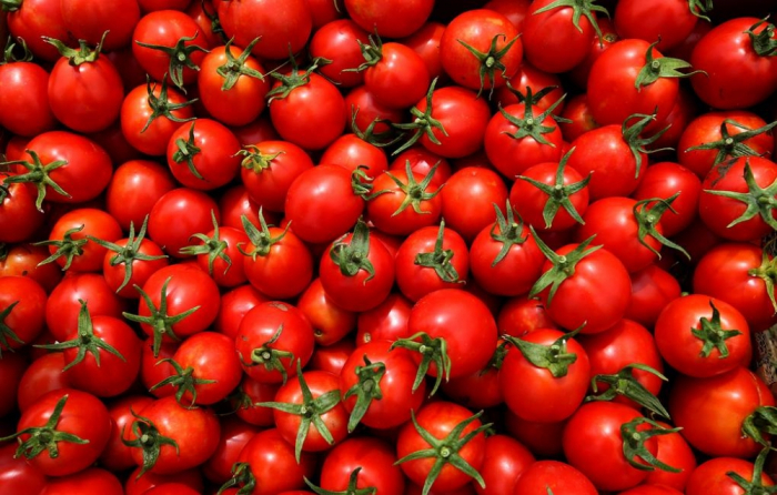"Rosselkhoznadzor" permite a 13 empresas de Azerbaiyán suministrar tomates y manzanas a Rusia