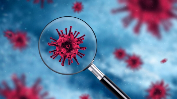  Koronavirusun yeni ştammı Avropanın 22 ölkəsində aşkarlandı 