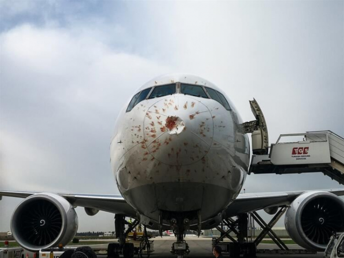   Turkish Airlines plane makes emergency landing in Istanbul  