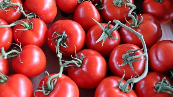 Azerbaiyán exporta tomates al Golfo Pérsico y a Europa