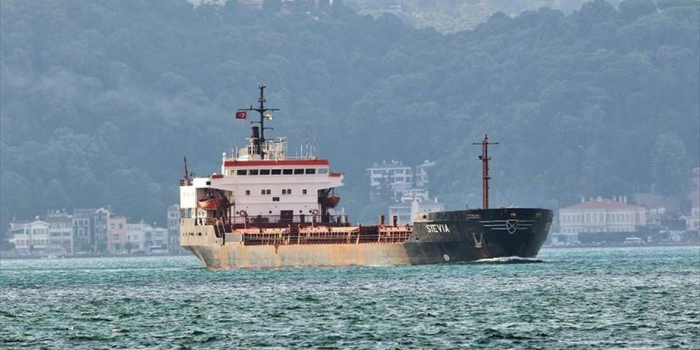 Ukrayna dənizçiləri girovluqdan azad edilib