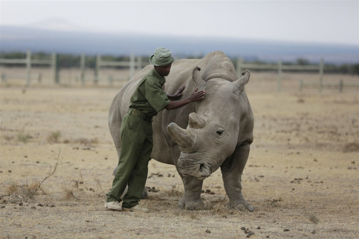 Human activity threatens species survival, study shows 