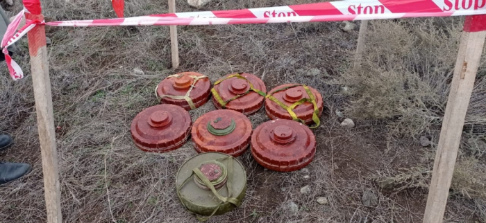  120 mines antipersonnel ont été désamorcées dans la région de Goubadly -  PHOTO  