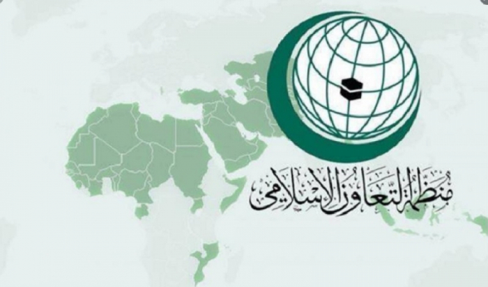 OIC commemorates International Day of Women and Girls in Science