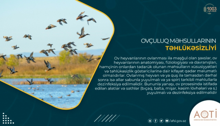 Ovçuluq məhsullarının təhlükəsizliyi