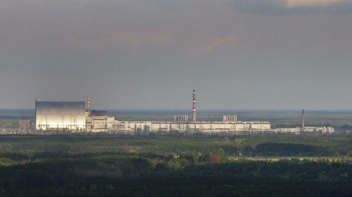 Ein Haufen Knochen in Tschernobyl-Zone: Google Maps-User stoßen auf Grusel-Fund