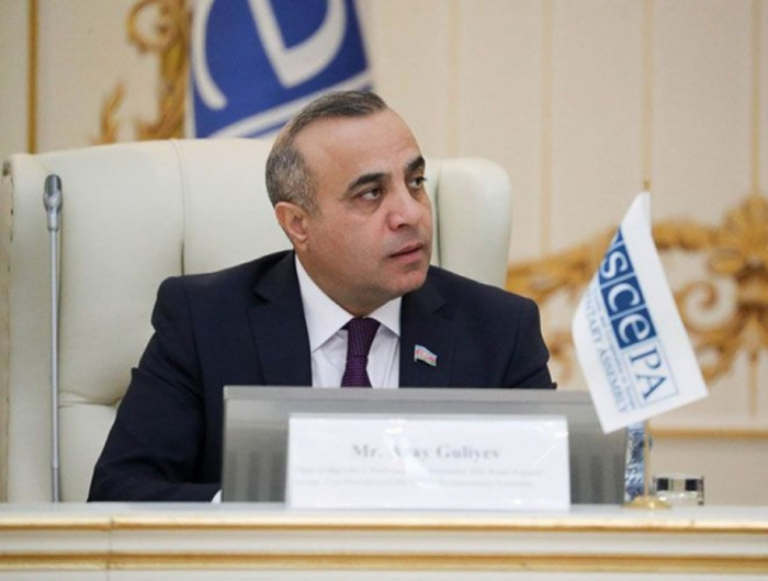   OSCE PA vice-president names Azerbaijan