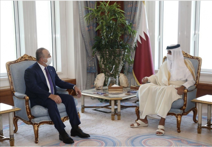   أمير قطر وتشاووش أوغلو يبحثان المستجدات الإقليمية والدولية  