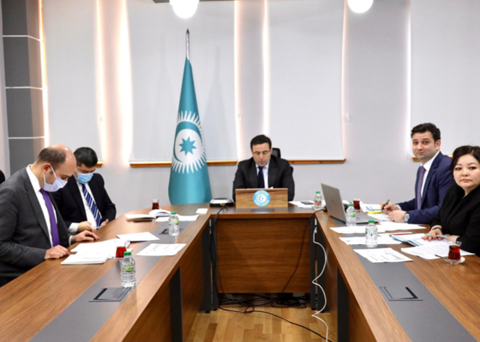   Turkic Council Experts held the First online meeting on Energy   