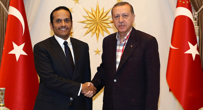 أردوغان ووزير خارجية قطر يبحثان تطورات الأوضاع في سوريا وليبيا