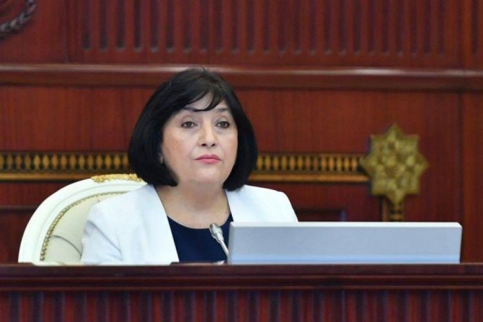    “Ötən il ölkəmizin valyuta ehtiyatları artıb” -    Sahibə Qafarova    