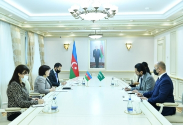  رئيسة المجلس الوطني تلتقي بسفير المملكة العربية السعودية لدى أذربيجان 