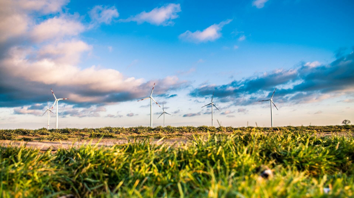 Kretschmann will schnelleren Bau von Windrädern mit neuem Gesetz