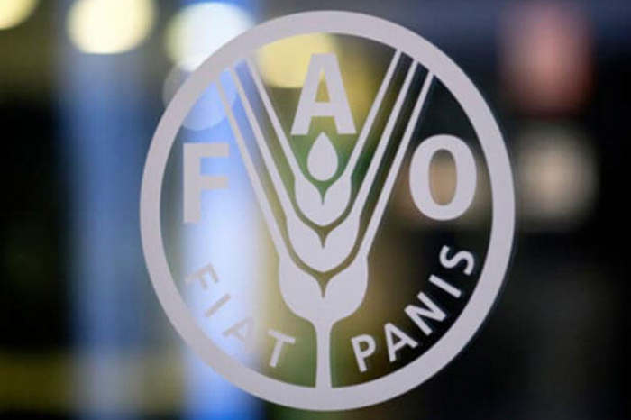 EU, FAO support Azerbaijan to prepare bill on agricultural advisory services