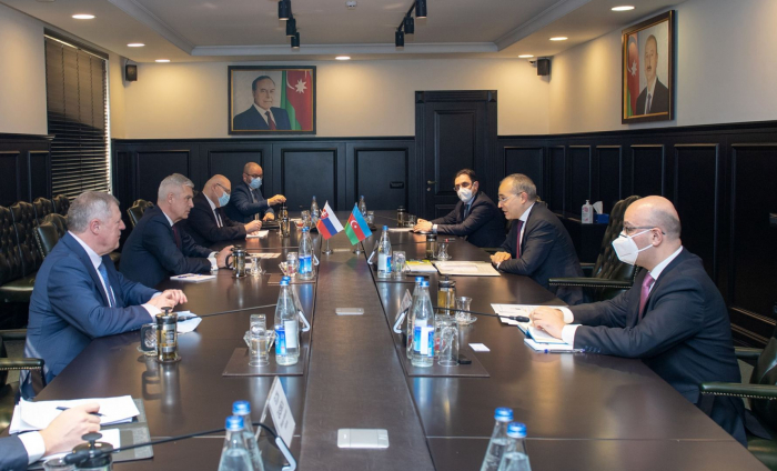 Azerbaijan, Slovakia discuss expansion of economic ties