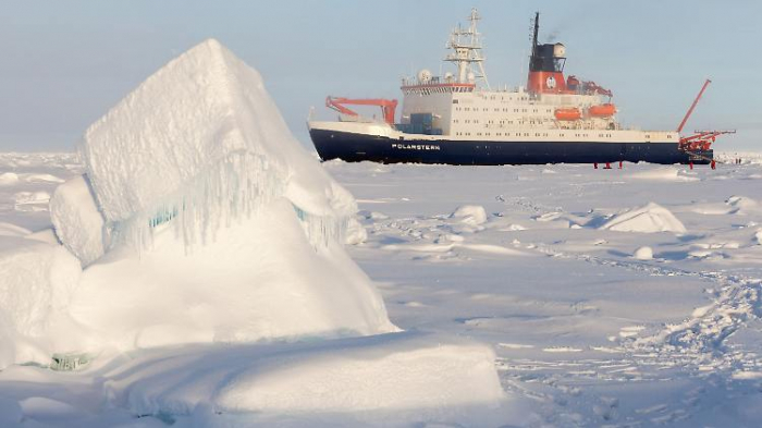 Forscher entdecken Ökosystem unter Eisberg