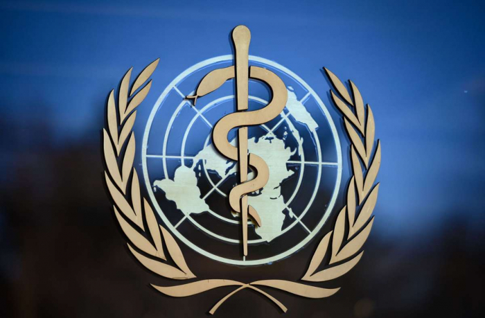     WHO-Bericht:     Coronavirus wohl über Zwischenwirt auf Menschen übertragen