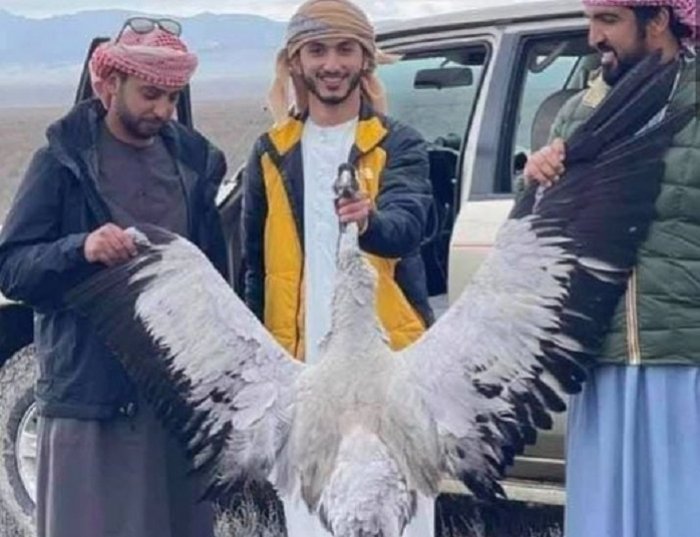  Ərəblərin Qaxda qurduğu çadırlar söküldü   