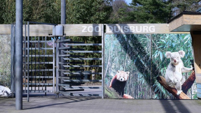 Alle Seidenaffen im Duisburger Zoo plötzlich verstorben