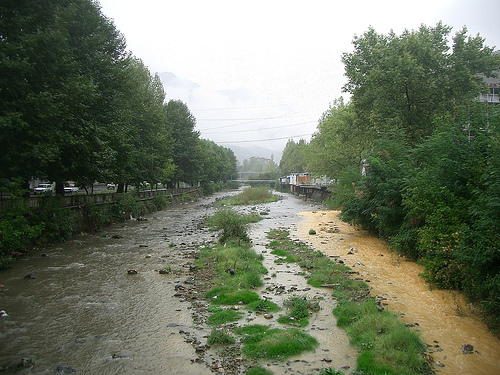    تلوث نهر أوختشوشاي من قبل أرمينيا يدي إلى نفوق جماعي للأسماك  