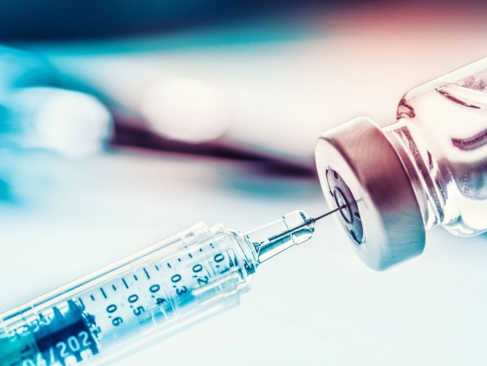 Covid-19: Moscou enregistre le premier vaccin pour les animaux au monde