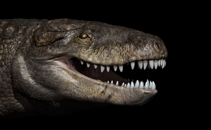 Des chercheurs expliquent pourquoi les crocodiles ont survécu aux dinosaures