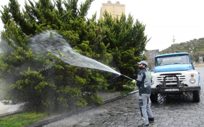Bakıda yaşıllıqlara qulluq göstərilir  
