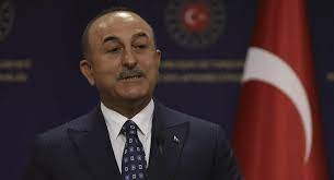   وزير الخارجية التركي ينفي وجود أي دوافع سياسية لتعليق روسيا رحلاتها إلى تركيا  