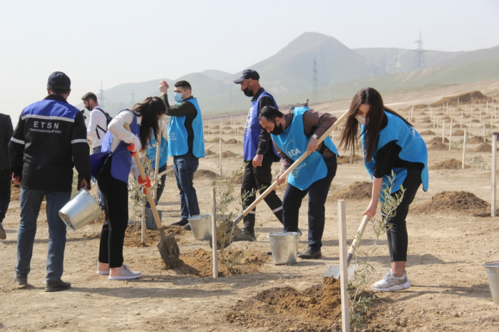 “Yaşıl Marafon” uğurla davam edir  