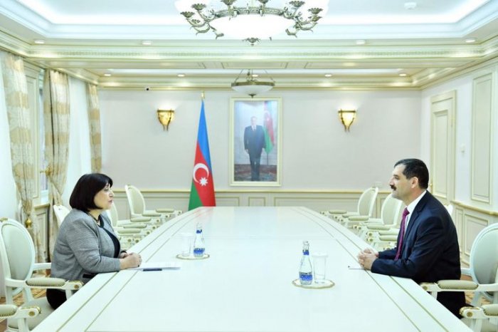 Sahibə Qafarova Türkiyə səfirilə görüşüb 