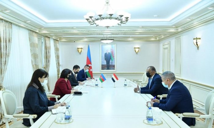 Azerbaijani parliament speaker meets with Egyptian ambassador