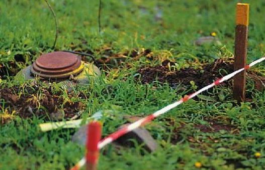   Armenia may share minefield maps after increasing international pressure, OIC says  