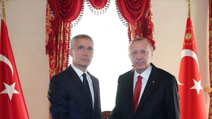 Turkish President, NATO chief discuss regional issues  