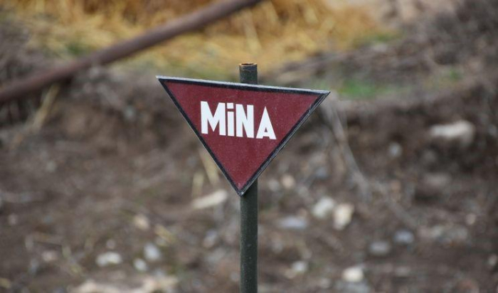   Müharibədən sonra 20 nəfər minaya düşərək ölüb   