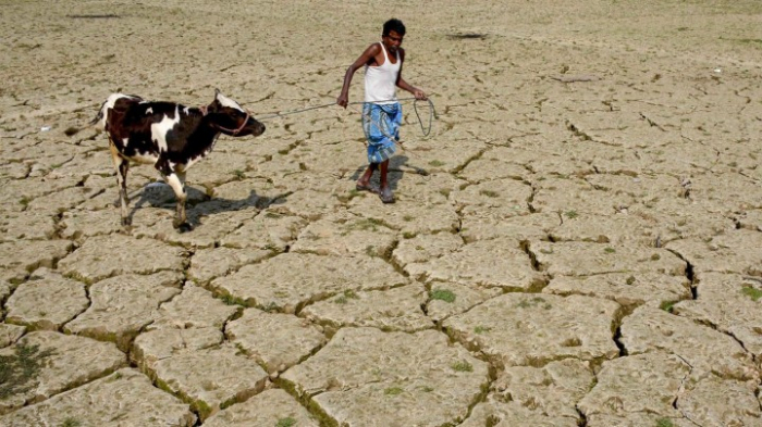 Expertin Vinke: Migrationsdruck aufgrund von Klimafolgen nimmt zu