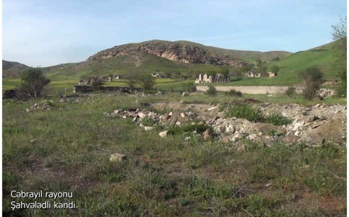 قرية شهفالدلي في جبرائيل - فيديو
