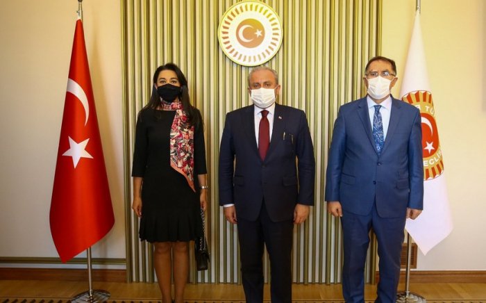 Səbinə Əliyeva Mustafa Şəntopla görüşdü
