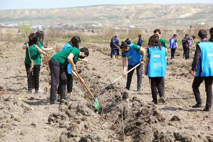 “Yaşıl Marafon” ağacəkmə kampaniyasına başlanıldı -    FOTOLAR   