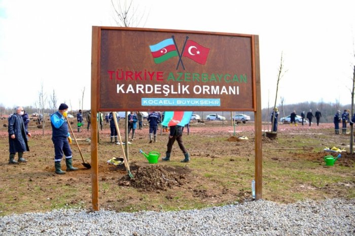   Se crea en Kocaeli el bosque de la hermandad azerbaiyano-turca  