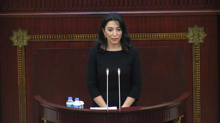 "تم التوجيه 15 نداء إلى المنظمات الدولية بخصوص أرمينيا" 