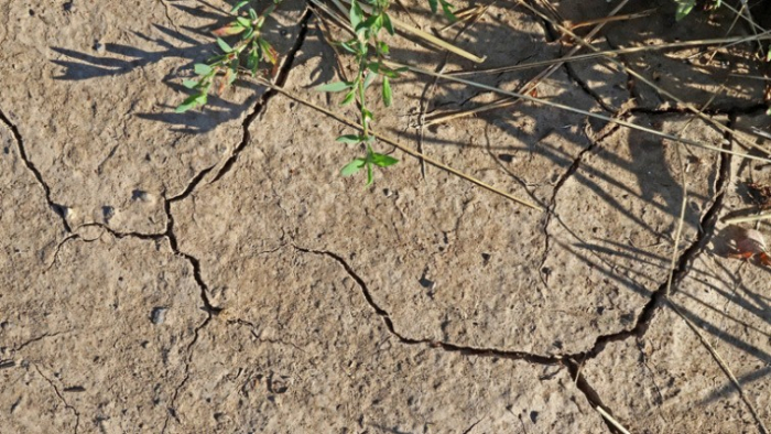  Armenien verliert Wasserressourcen:  Die ökologische Katastrophe für Armenien ist nicht mehr weit  