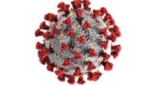 Encuentran "el talón de Aquiles del coronavirus", que permitiría reducir la replicación viral en las células infectadas