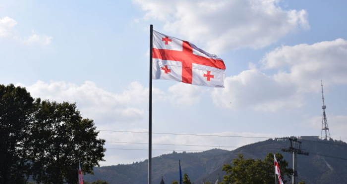  Gürcüstan rəsmiləri Dmanisidəki hadisələrə münasibət bildirdilər   