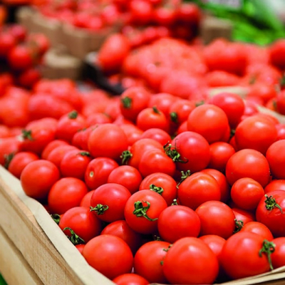 Más empresas azerbaiyanas exportarán tomates a Rusia