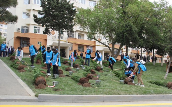    Bakıda növbəti həyət abadlaşdırıldı -  FOTOLAR   