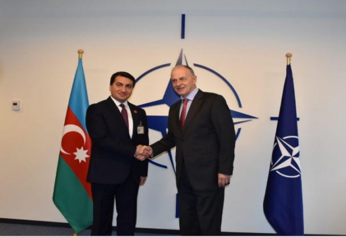  حكمت حاجييف سيلتقي مع نائب الأمين العام لحلف الناتو 