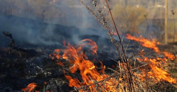   قطاع الغابات الملغومة يحترق في فيزولي ، وتشارك طائرة هليكوبتر في الإطفاء  