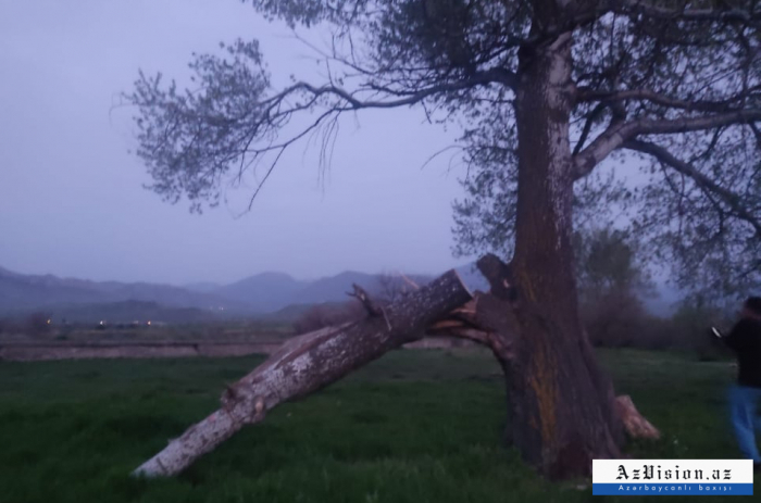  Armenien zerstört 40 Hektar Wald in Basittschaj